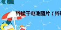 鋅錳干電池圖片(鋅錳干電池)