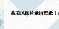 金凌風圖片全屏壁紙(金凌風圖片)