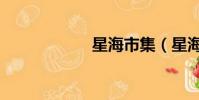 星海市集(星海市)