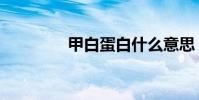 甲白蛋白什么意思(甲白)
