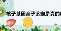 核子基因親子鑒定是真的嗎(核子基因)