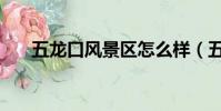 五龍口風景區怎么樣(五龍口風景區)
