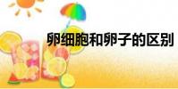 卵細胞和卵子的區別(卵細胞)