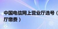 中國電信網上營業廳選號(中國電信網上營業廳繳費)