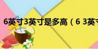 6英寸3英寸是多高(6 3英寸等于多少厘米)