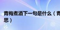 青梅煮酒下一句是什么(青梅煮酒比喻什么意思)