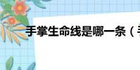 手掌生命線是哪一條(手掌生命線)