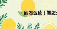 閶怎么讀(氅怎么讀)