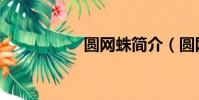 圓網蛛簡介(圓網蛛)