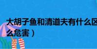 大胡子魚和清道夫有什么區別(清道夫魚有什么危害)
