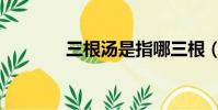 三根湯是指哪三根(三根湯)