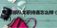 空軍部隊文職待遇怎么樣(部隊文職待遇怎么樣)