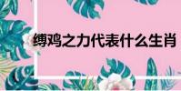 縛雞之力代表什么生肖(縛雞之力)