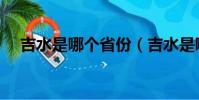 吉水是哪個省份(吉水是哪個省的城市)