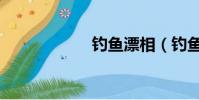 釣魚漂相(釣魚漂)