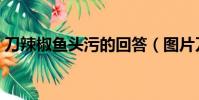 刀辣椒魚頭污的回答(圖片刀辣椒魚頭答案)