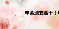 申金地支藏干(申金)