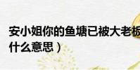 安小姐你的魚塘已被大老板拆除(進你的魚塘什么意思)
