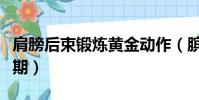 肩膀后束鍛煉黃金動作(臏骨骨折鍛煉的黃金期)