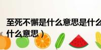 至死不懈是什么意思是什么意思(至死不懈是什么意思)