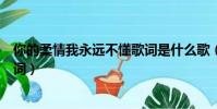 你的柔情我永遠不懂歌詞是什么歌(你的柔情我永遠不懂歌詞)