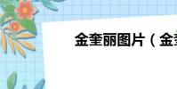 金奎麗圖片(金奎麗)