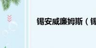 錫安威廉姆斯(錫組詞)