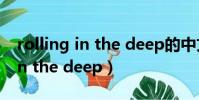 rolling in the deep的中文意思(rooling in the deep)