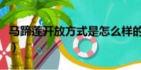 馬蹄蓮開放方式是怎么樣的(馬蹄蓮開放方式)