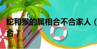 蛇和猴的屬相合不合家人(蛇和猴的屬相合不合)