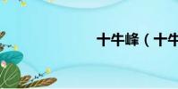 十牛峰(十牛)