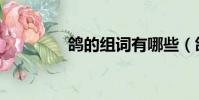鴿的組詞有哪些(鴿組詞)