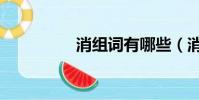 消組詞有哪些(消組詞)