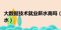 大數據技術就業薪水高嗎(大數據技術就業薪水)