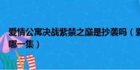 愛情公寓決戰紫禁之巔是抄襲嗎(愛情公寓決戰紫禁之巔是哪一集)