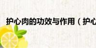 護心肉的功效與作用(護心肉的做法大全)