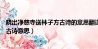曉出凈慈寺送林子方古詩的意思翻譯(曉出凈慈寺送林子方古詩意思)