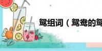 鴛組詞(鴛鴦的鴛組詞)