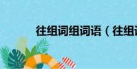 往組詞組詞語(往組詞有哪些)