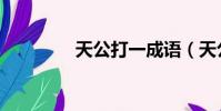 天公打一成語(天公成語)