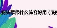 狗頭軍師什么陣容好用(狗頭軍師什么意思)