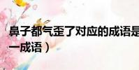 鼻子都氣歪了對應的成語是什么(氣加一豎打一成語)