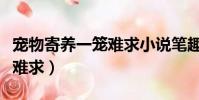 寵物寄養一籠難求小說筆趣閣(寵物寄養一籠難求)