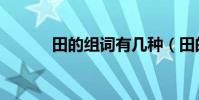 田的組詞有幾種(田的組詞有)