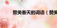 贊美春天的詞語(贊美春天的詞)