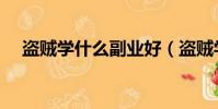 盜賊學什么副業好(盜賊學什么專業好)