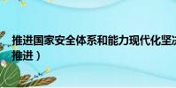 推進國家安全體系和能力現代化堅決維護國家安全和穩定(推進)