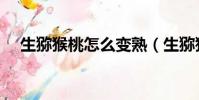 生獼猴桃怎么變熟(生獼猴桃怎么催熟)