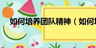 如何培養團隊精神(如何培養團隊精神)