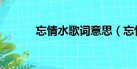 忘情水歌詞意思(忘情水歌詞)